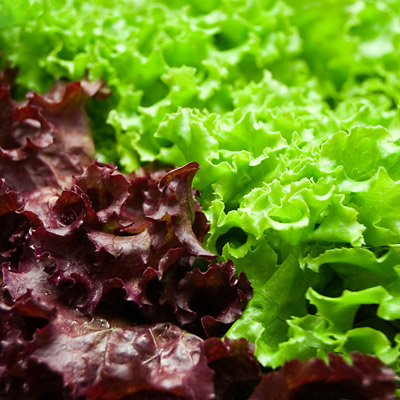 Upgrade Your Salad Greens 07 pg full