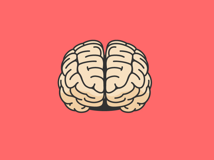brain