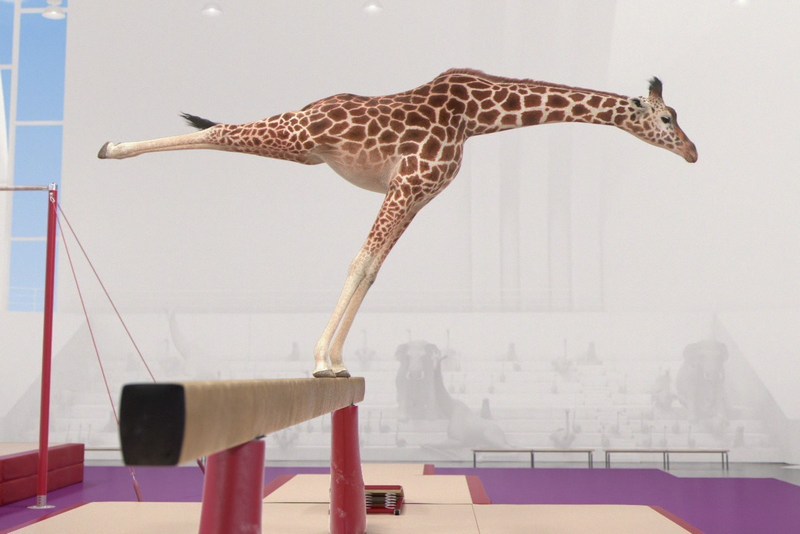 Atleticus dvorana za vježbanje