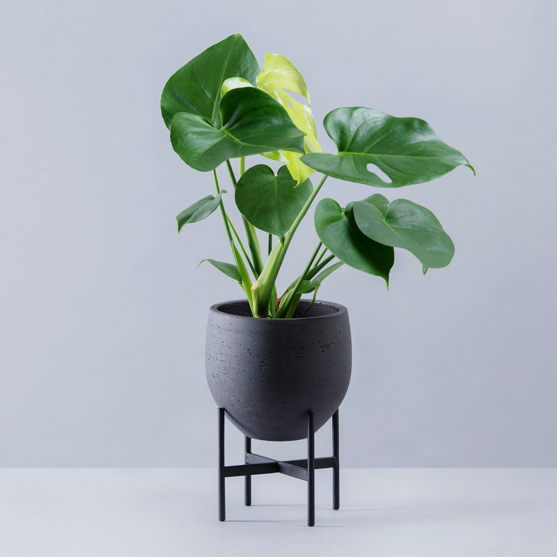 Hortiart