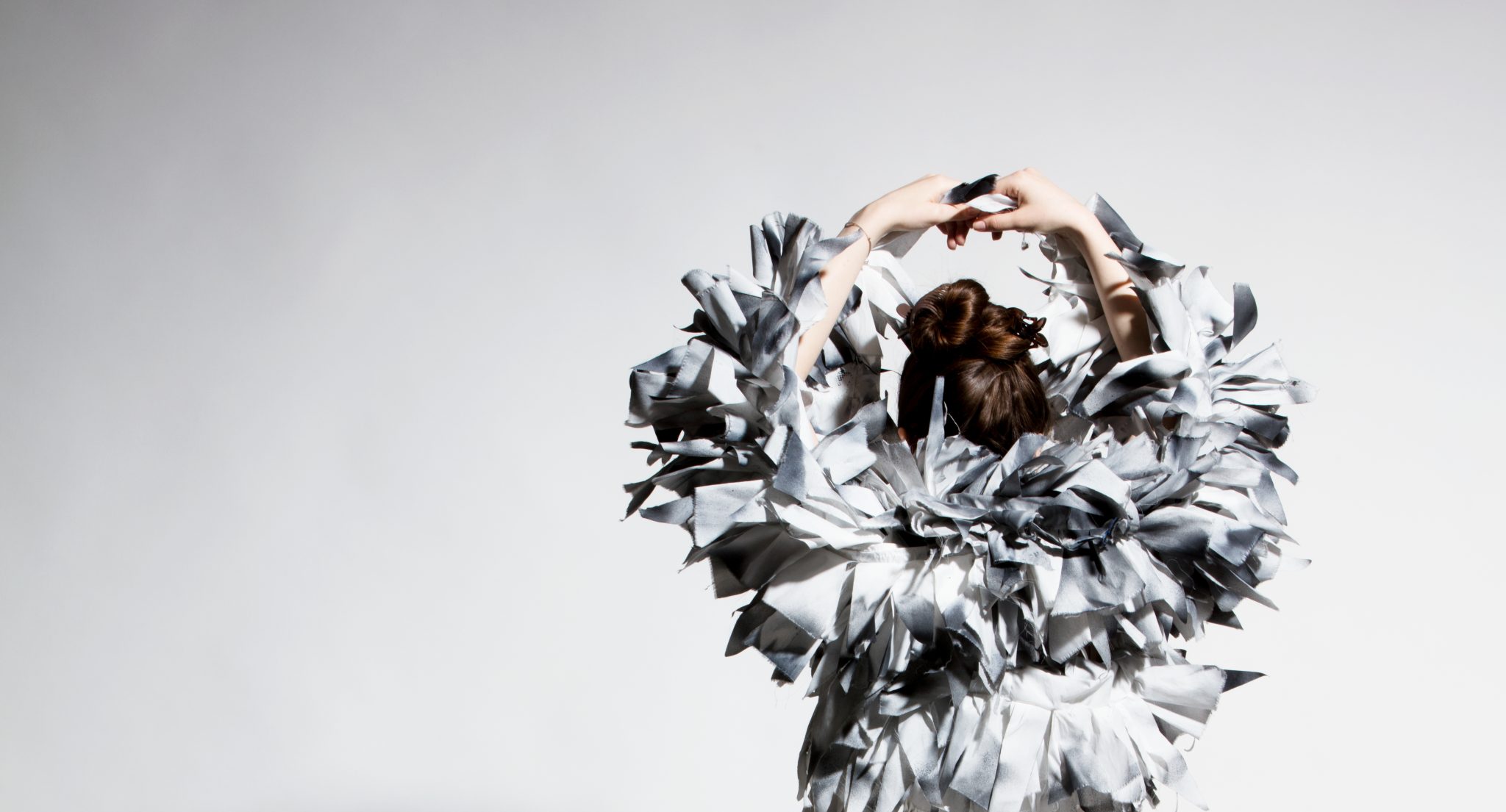 crop rogulj 2048x1105