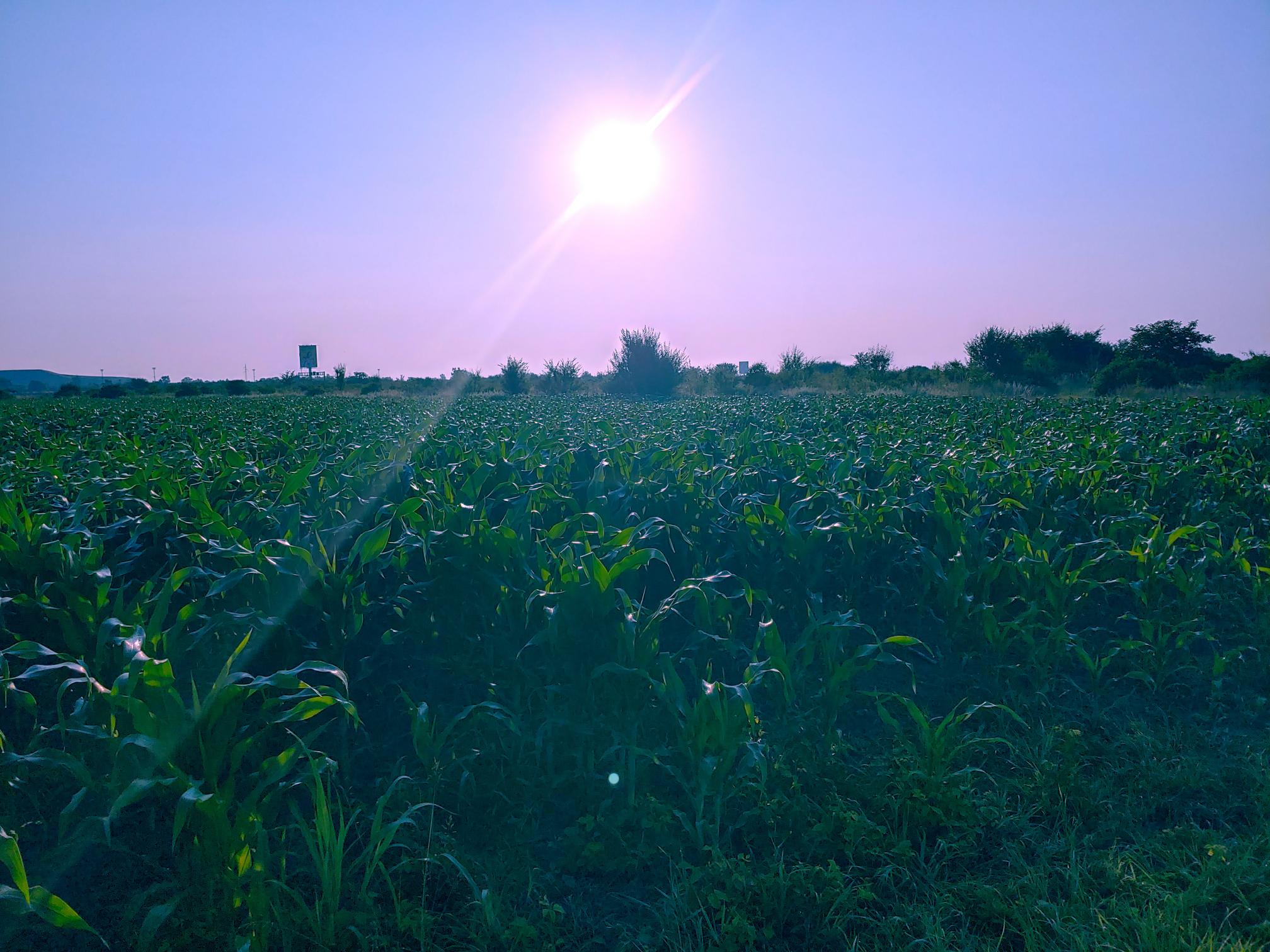 20230618 063203 HDR