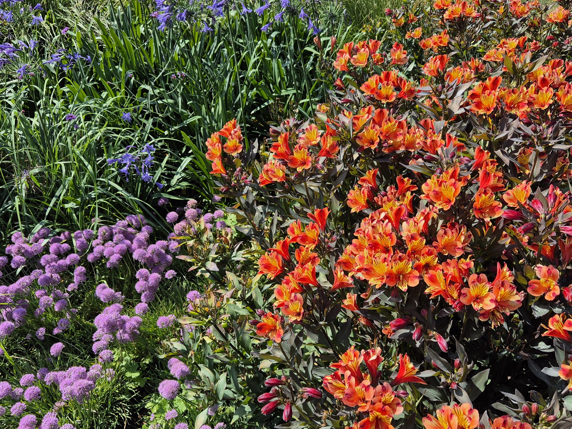 20250823 132518 resized