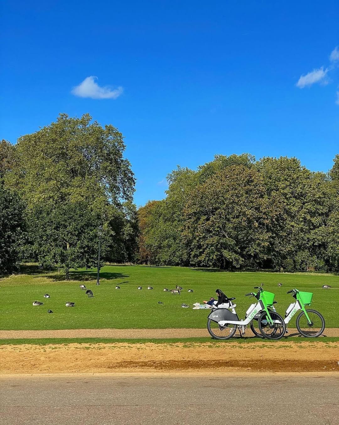 SnapInsta.to 385624098 616829097052465 6786157439619831213 n