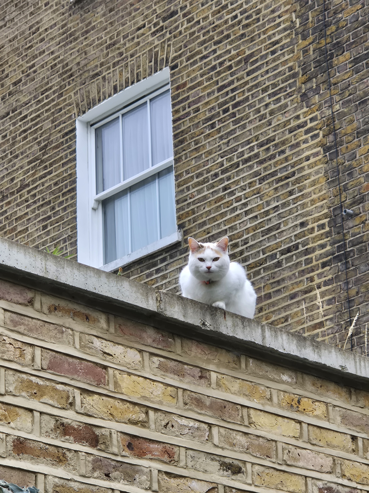 20250821 092024 resized