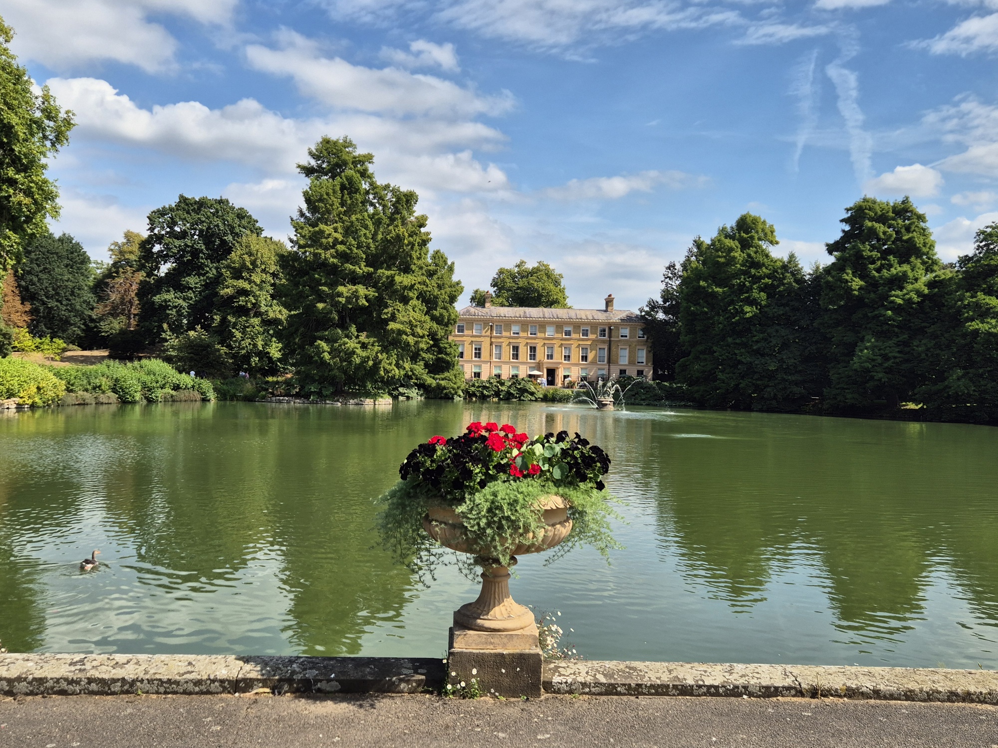 20250823 130456 resized 2