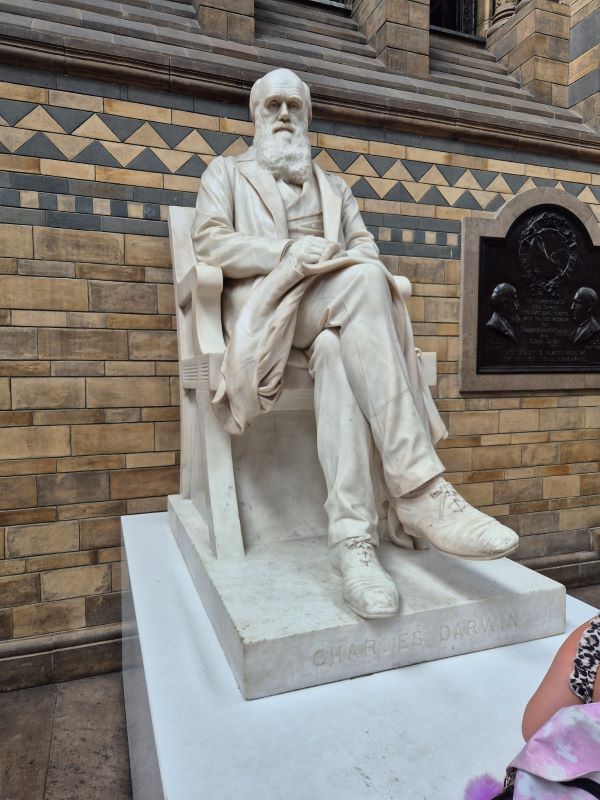 london natural history museum 9