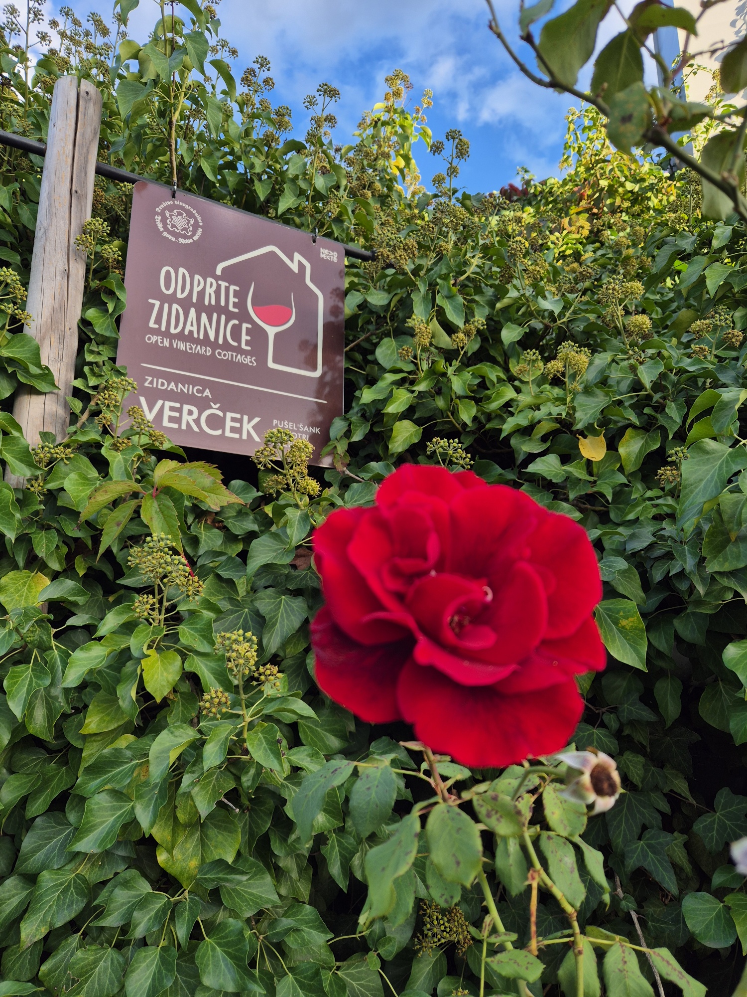 20250915 180147 resized 1