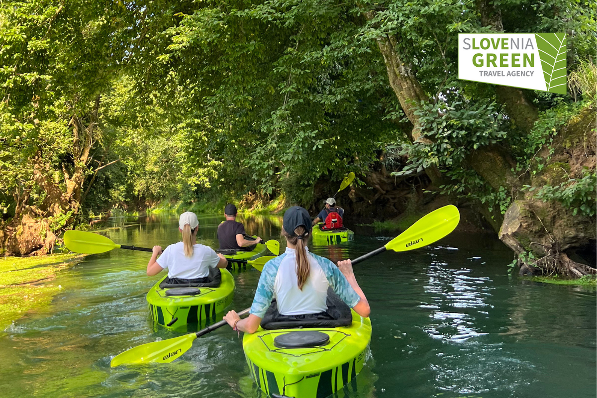 i h8be2ab959119444c74907e02239ce68ddf9e4443