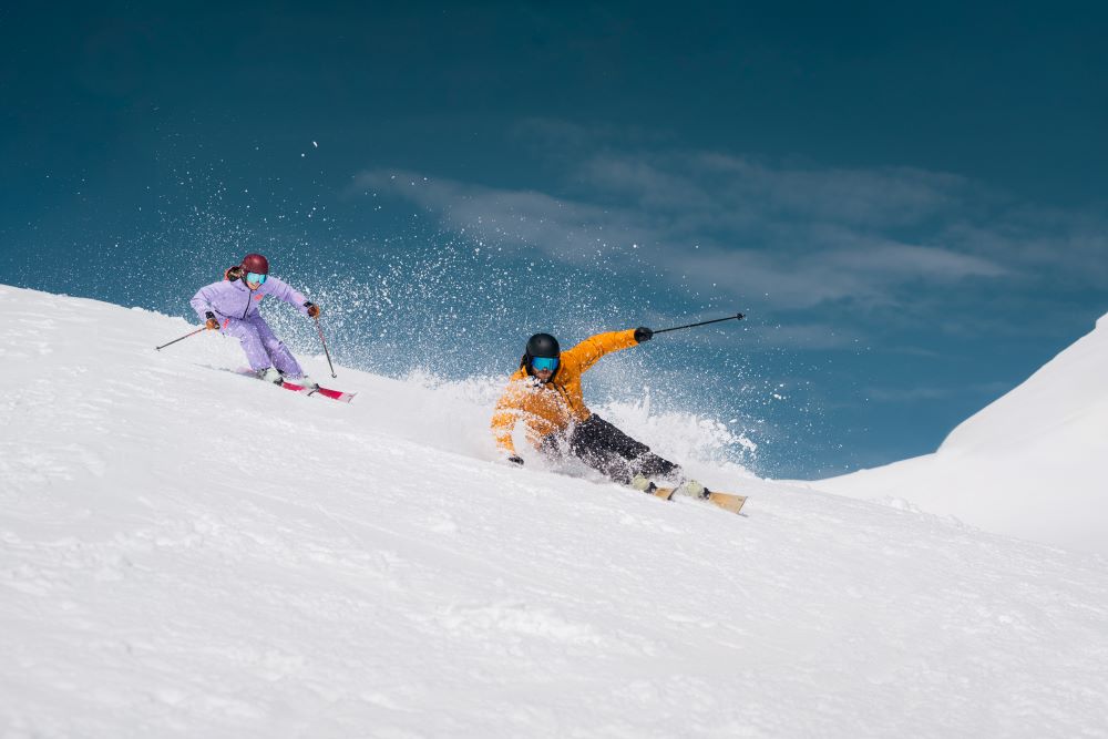 Wingman Wildcat Photo Elan LR NEL05503