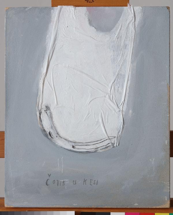 Tisja Kljakovic Braic Covik u kesi 31 x 25 cm