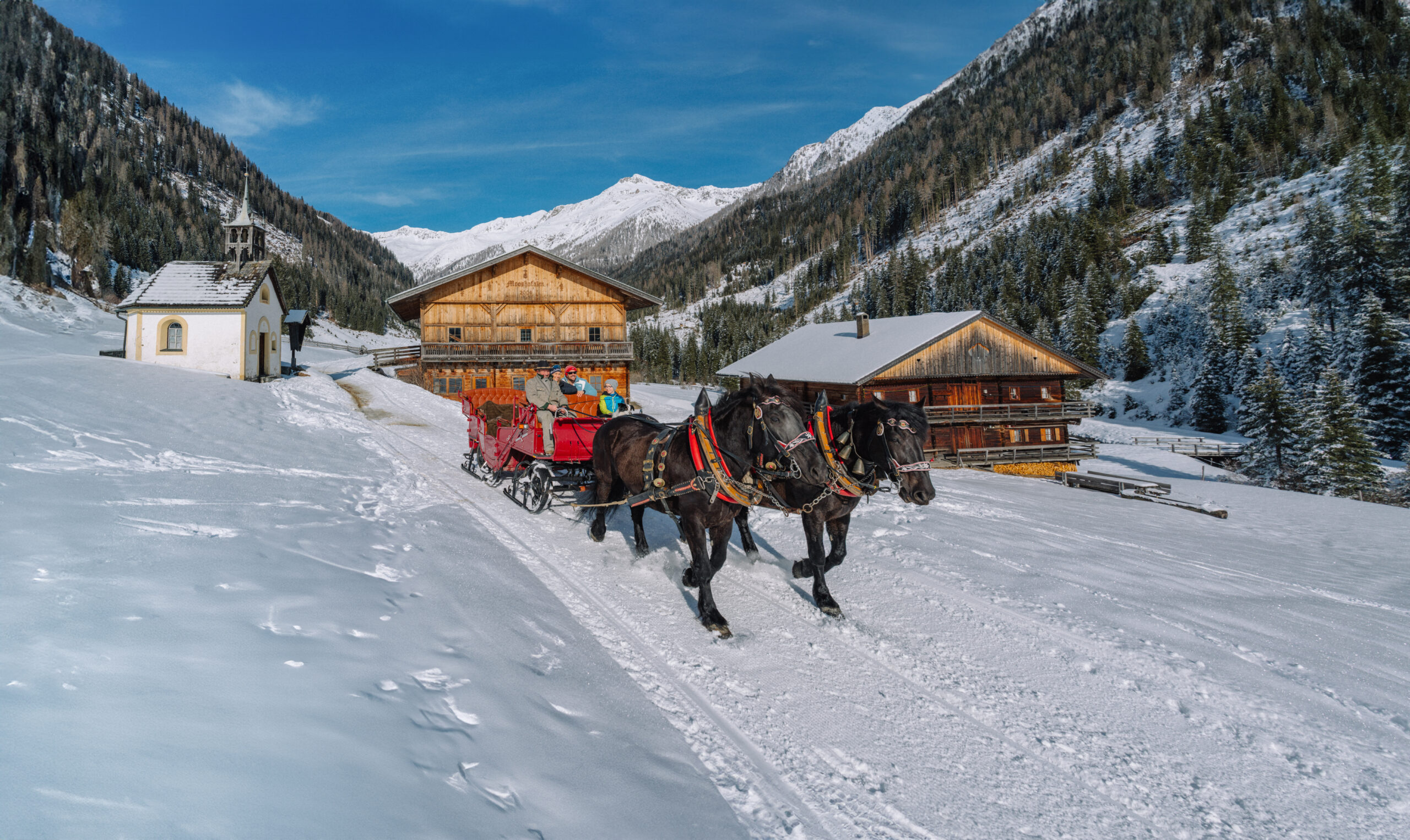 pferdekutsche winkeltal winter2025 c peter maier 855