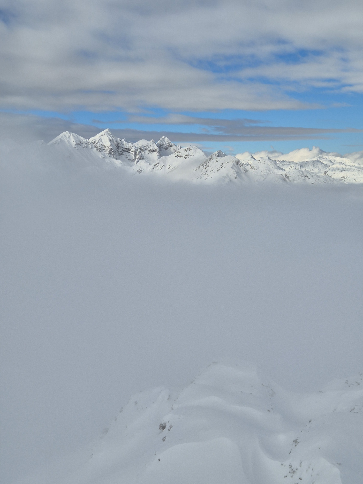 20260130 110145 resized