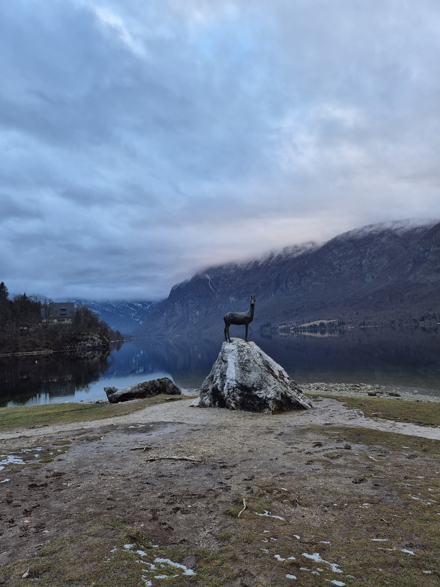 20260130 162558 resized