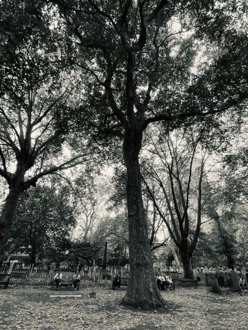 Bunhill Fields