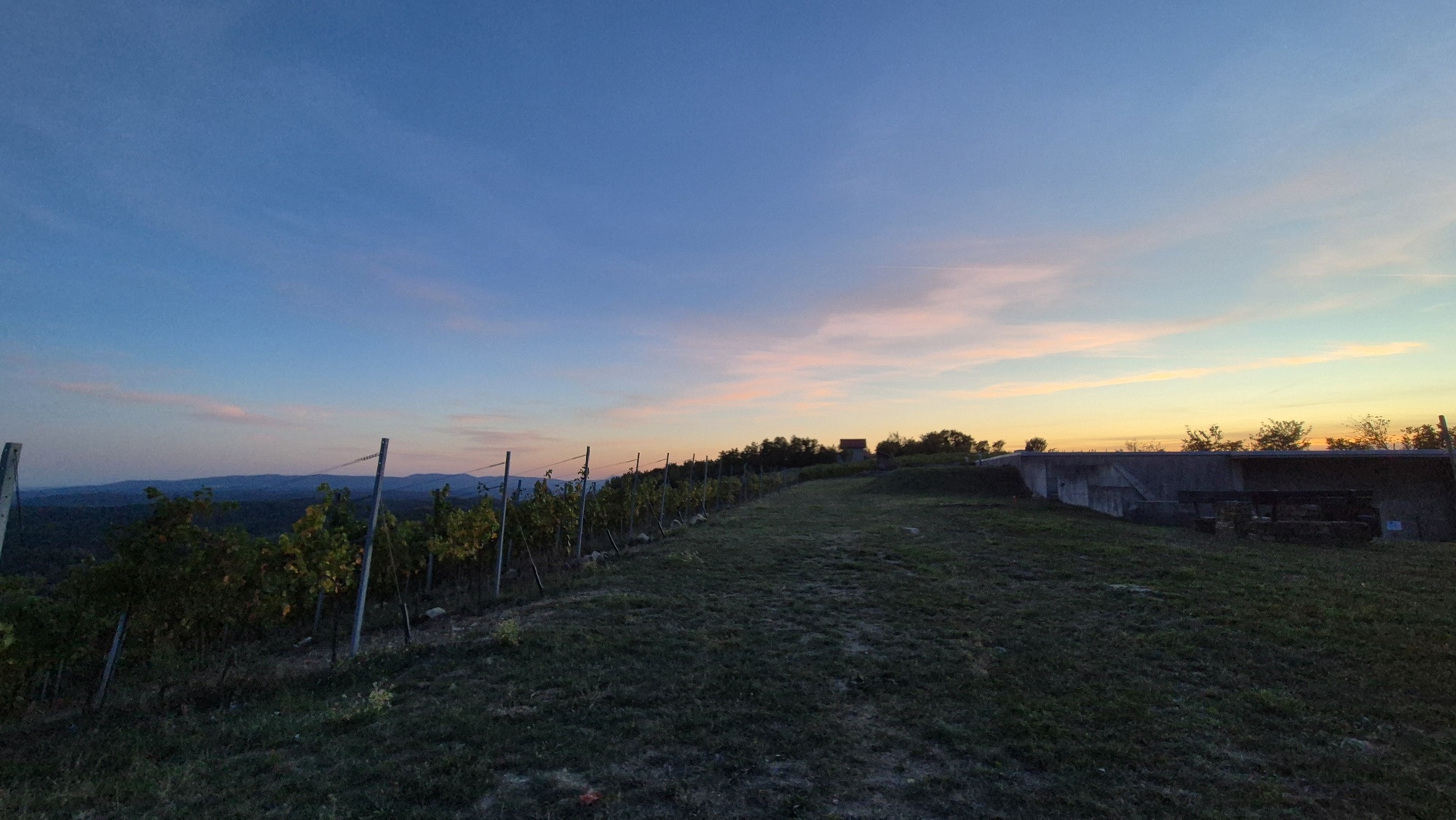20261001 184333 resized