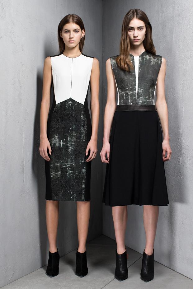 narciso-rodriguez-pre-autumn-fall-201315