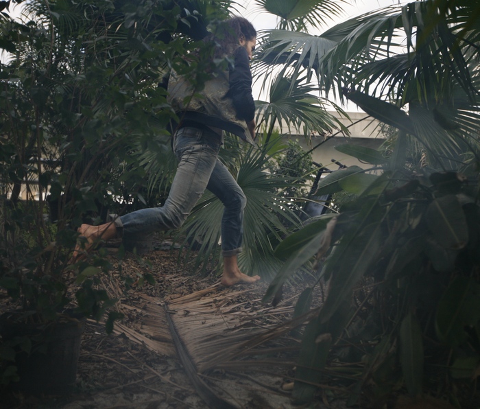 only the brave wild 2