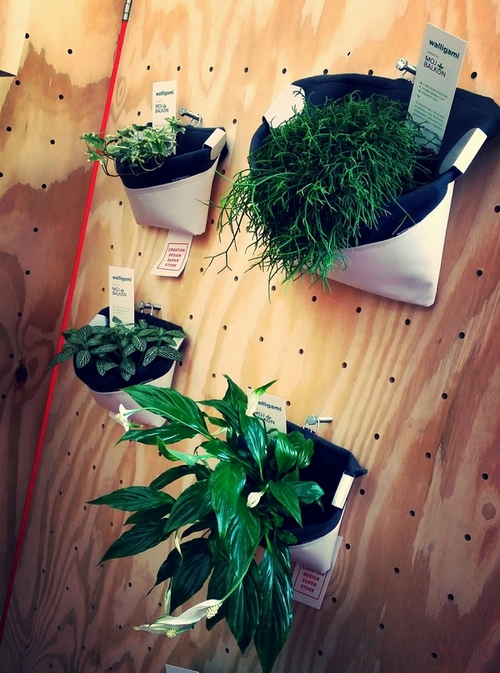 CRO DES SUPERSTORE 35