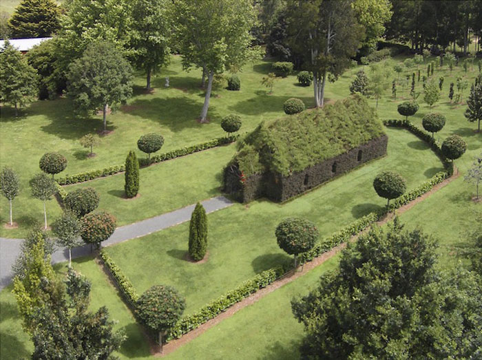 barry-cox-church-of-trees-nz-01