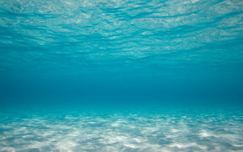 Sea Underwater