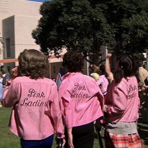 grease pink ladies2