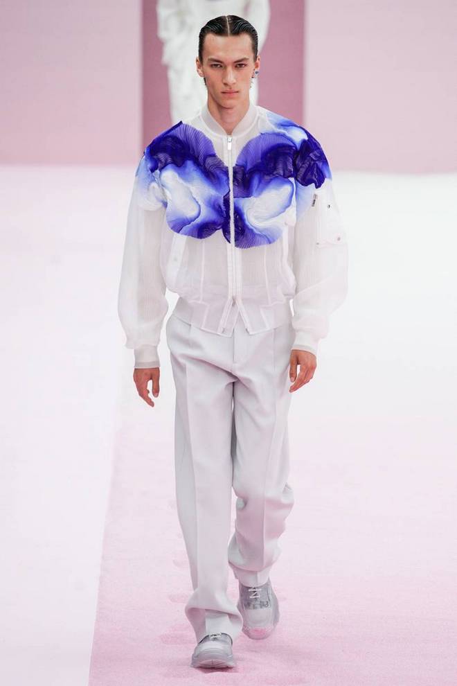 DIOR2019 1