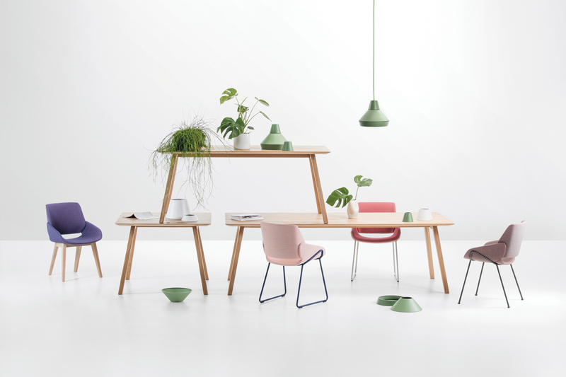 Arigato floor double