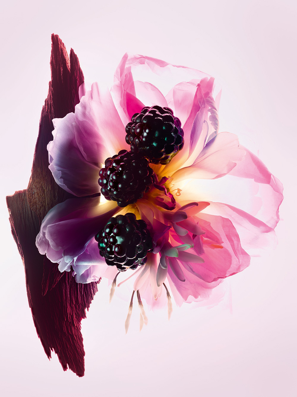 F106 MD ESSENCE 25 P03D Ingredients MD F39