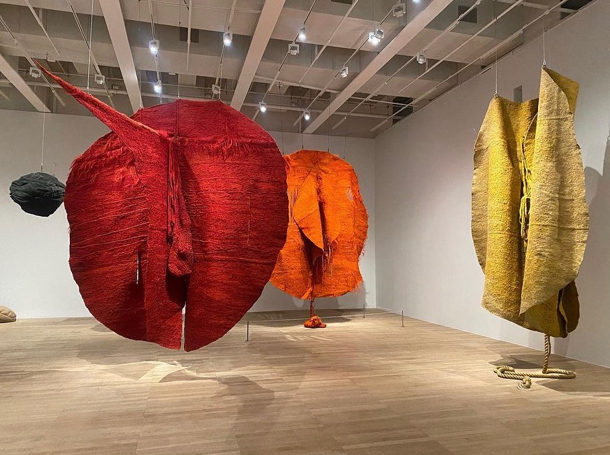 SnapInsta.to 315959203 675407770656395 8908443330003737964 n