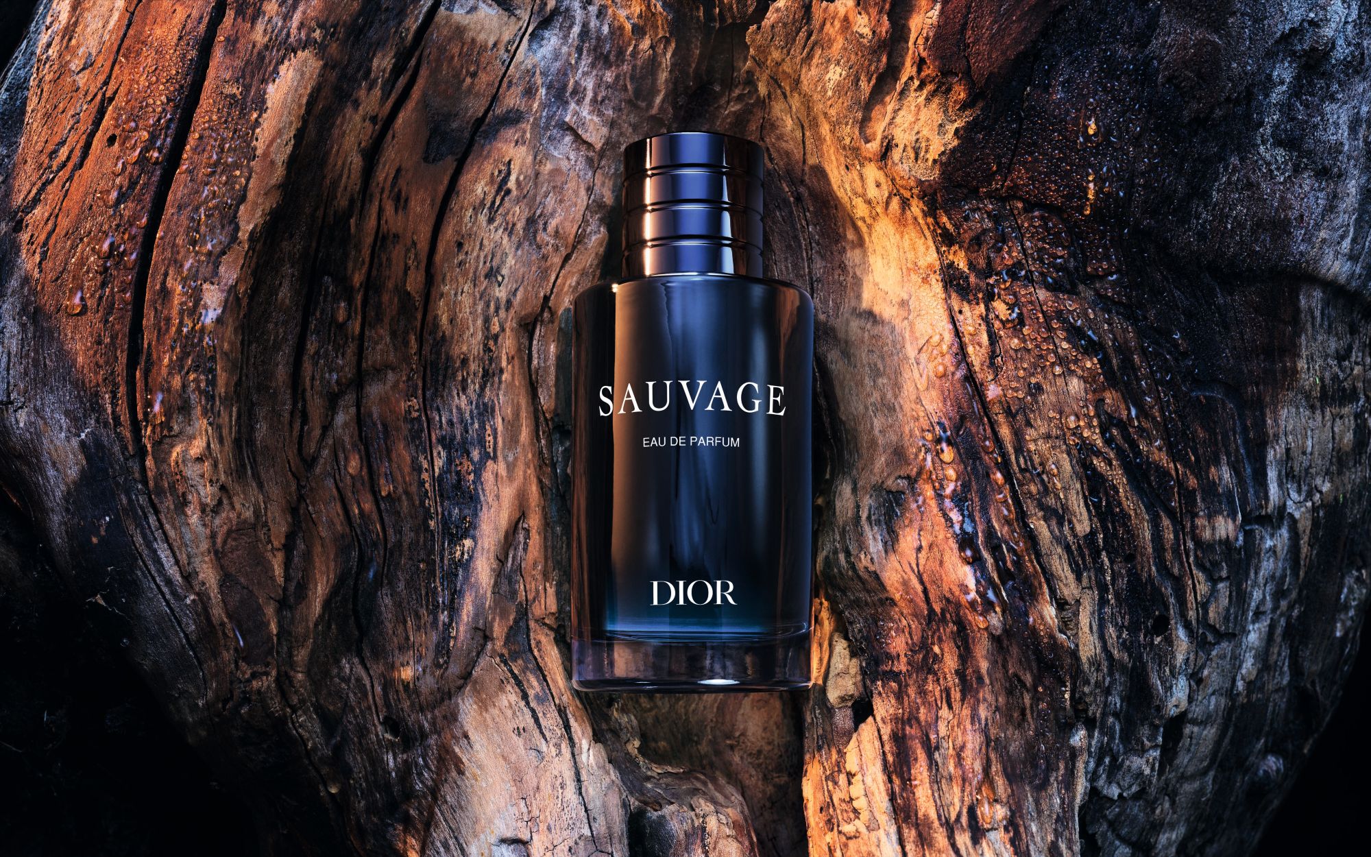 F103 SAUVAGE EXTRAIT 26 P02P Solo EDP SW F39