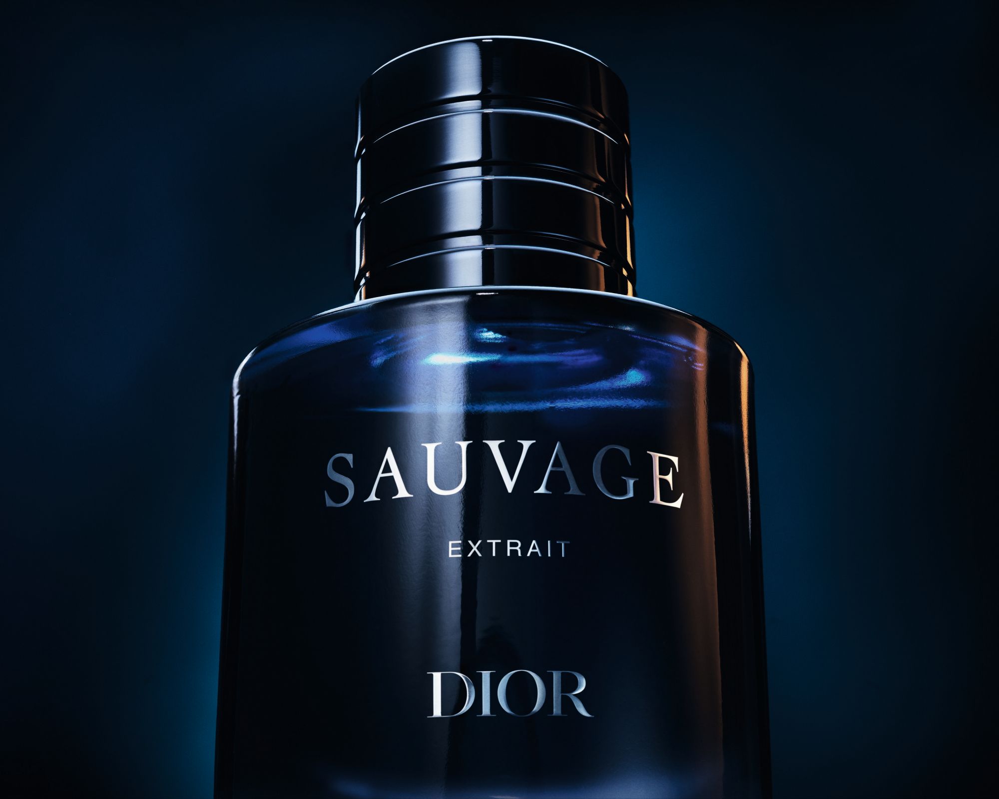 F103 SAUVAGE EXTRAIT 26 P06G Focus EXTRAIT SW F39