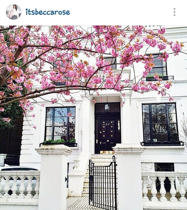 INSTA LIFE ITS BECCA ROSE24