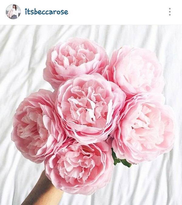 INSTA LIFE ITS BECCA ROSE25