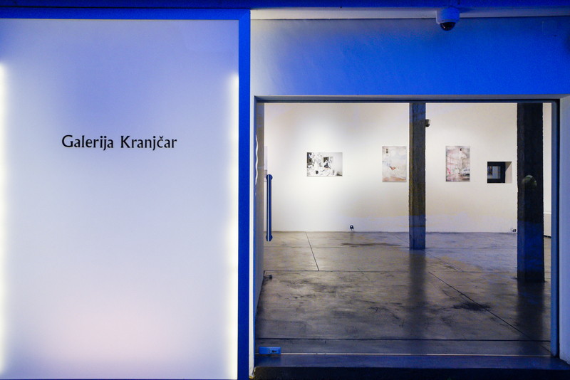 Dzenisa Pecotic photo by Juraj Vuglac