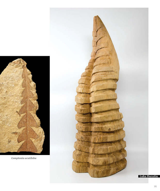 HRVATSKI PRIRODOSLOVNI MUZEJ FOSILI1