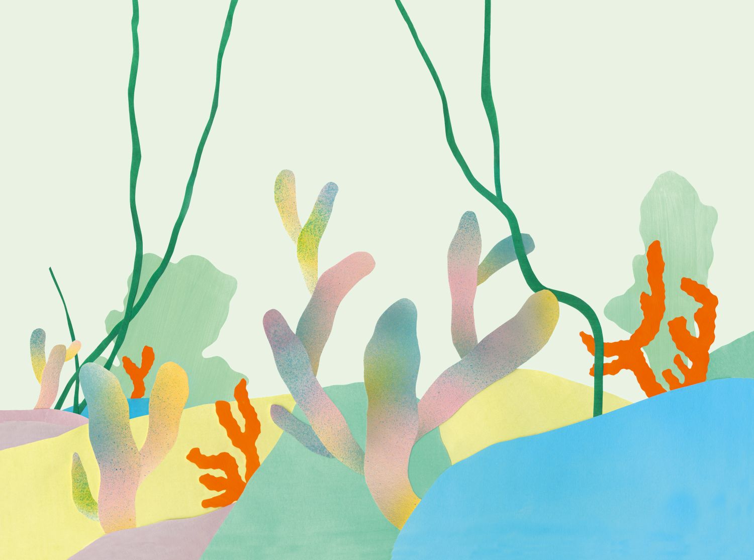 Un Jardin sous la mer illustrations Anne Brugni