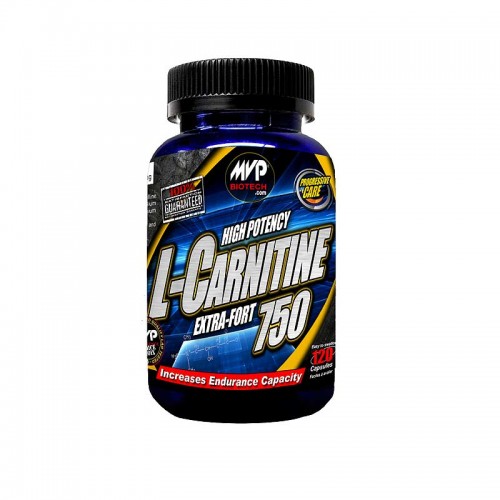 acetyl l carnitine twinlab 500x500