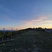 20261001 184333 resized