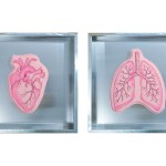 Kako Društvo povjesničara umjetnosti Hrvatske kroz praktikum na Art Zagrebu pretvara teoriju u izložbu i kreira dijalog između umjetnika, povjesničara umjetnosti i publike Ivana Mrcela 100x50cm LIMITED EDITION